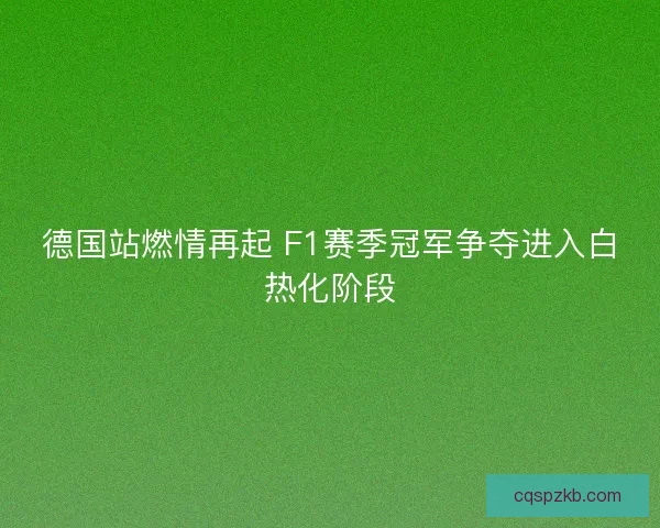 德国站燃情再起 F1赛季冠军争夺进入白热化阶段